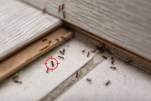 Best Best Pest Control Companies  in Barnesville, GA
