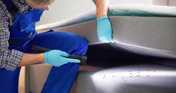 Best Wasp Removal Services  in Barnesville, GA